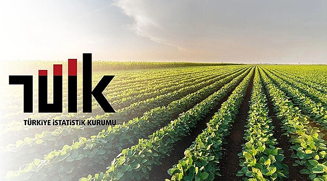 TARIMSAL GİRDİ FİYATLARI AĞUSTOS 2025'TE YÜZDE 34 ARTTI