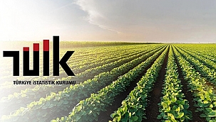 TARIMSAL GİRDİ FİYATLARI AĞUSTOS 2025'TE YÜZDE 34 ARTTI