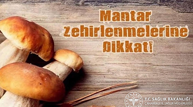 UZMANLARDAN UYARI: MANTAR ZEHİRLENMELERİNE DİKKAT!
