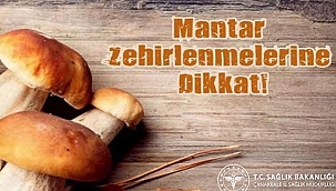 UZMANLARDAN UYARI: MANTAR ZEHİRLENMELERİNE DİKKAT!