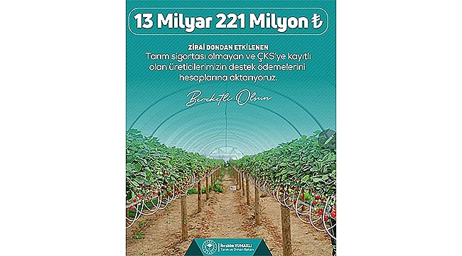 ZİRAİ DON NEDENİYLE HASAR GÖREN ÜRETİCİLERE DESTEKLEME ÖDEMESİ BAŞLADI
