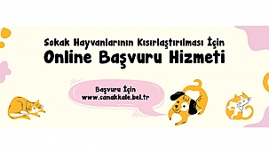 SOKAK HAYVANLARININ KISIRLAŞTIRILMASI İÇİN ONLİNE BAŞVURUDA BULUNABİLİRSİNİZ