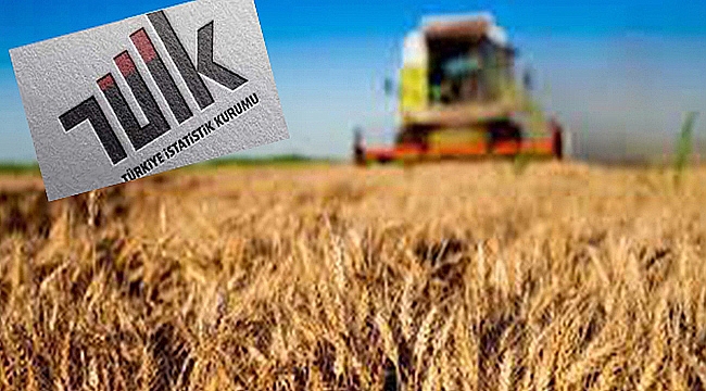 TARIM-ÜFE KASIMDA YILLIK %31,45 ARTTI