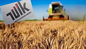 TARIM-ÜFE KASIMDA YILLIK %31,45 ARTTI