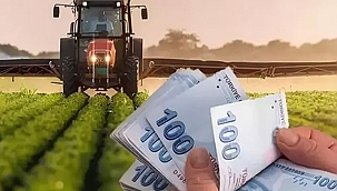 TARIMSAL GİRDİ FİYATLARI YILLIK %33,66 ARTTI
