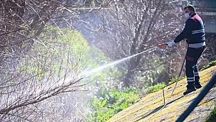 SİVRİSİNEK VE KARASİNEK MÜCADELE ÇALIŞMALARI SÜRÜYOR