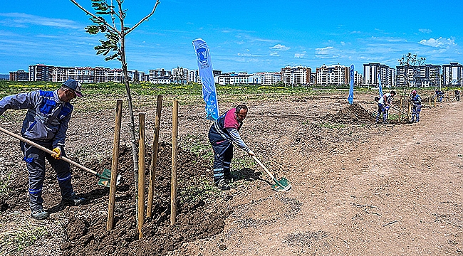 KENT PARK'TA AĞAÇLAR TOPRAKLA BULUŞTU