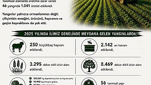 ALEVLER SADECE ORMANLARI DEĞİL, ÇİFTÇİNİN GELECEĞİNİ DE KÜL EDİYOR