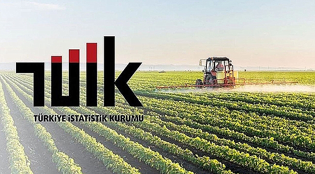TARIM ÜRÜNLERİ ÜRETİCİ FİYATLARI YILLIK YÜZDE 43 ARTTI