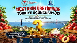 ÇANAKKALE, NEKTARİN ÜRETİMİNDE TÜRKİYE ÜÇÜNCÜSÜ