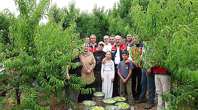 VALİ TORAMAN BAYRAMİÇ BEYAZI HASADINA KATILDI