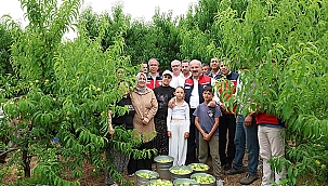 VALİ TORAMAN BAYRAMİÇ BEYAZI HASADINA KATILDI