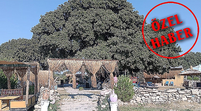 YAZ AYINDA BU YASAK KİME!