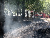 Çan'da İki Ayrı Noktada Orman Yangını Meydana Geldi