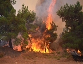 Gelibolu'da Yangın