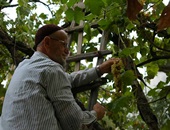 Özdemir Ailesi'nin Acı Kaybı